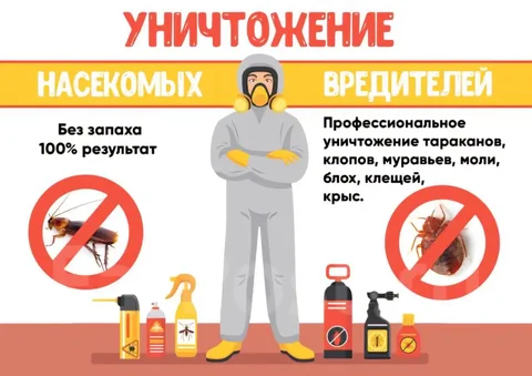 Уничтожение насекомых - Медицинские услуги в Иркутск