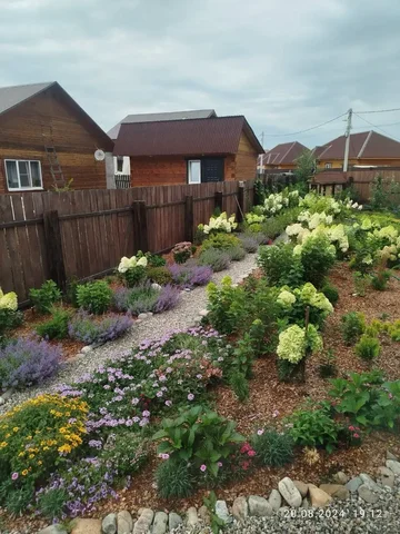 Мульча из щепы и перепревших опилок для огорода - Растения в Иркутск