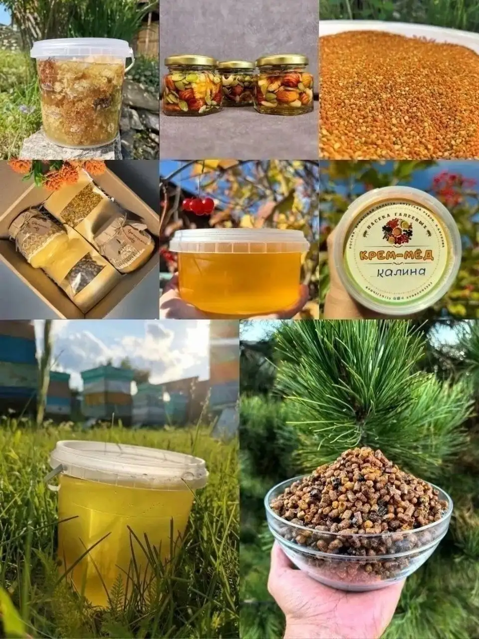 Продукция пчеловодства из Аларского района - Мёд и продукты пчеловодства (Продукты питания) в Иркутск