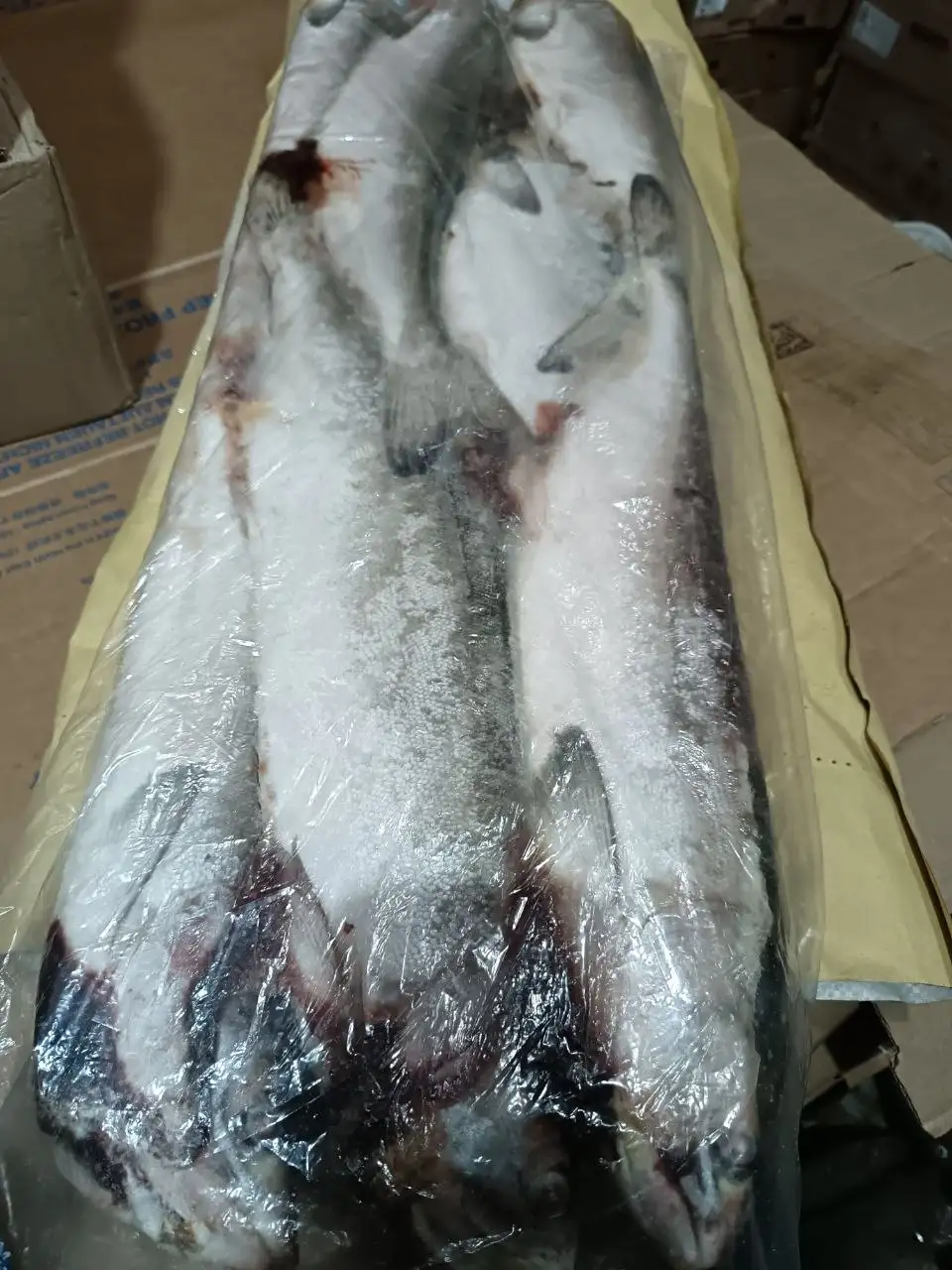 Продажа горбуши - Рыба (Продукты) в Иркутск
