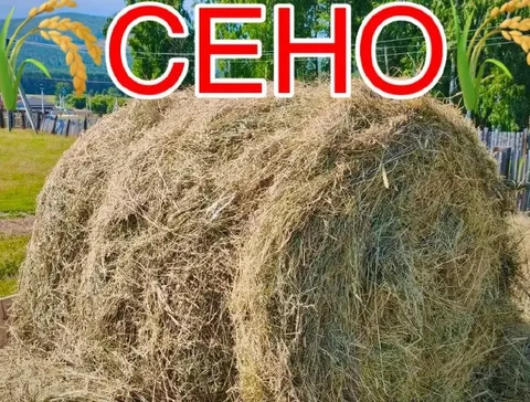 Продам сено свежего урожая с доставкой - Строительство и ремонт в Иркутск