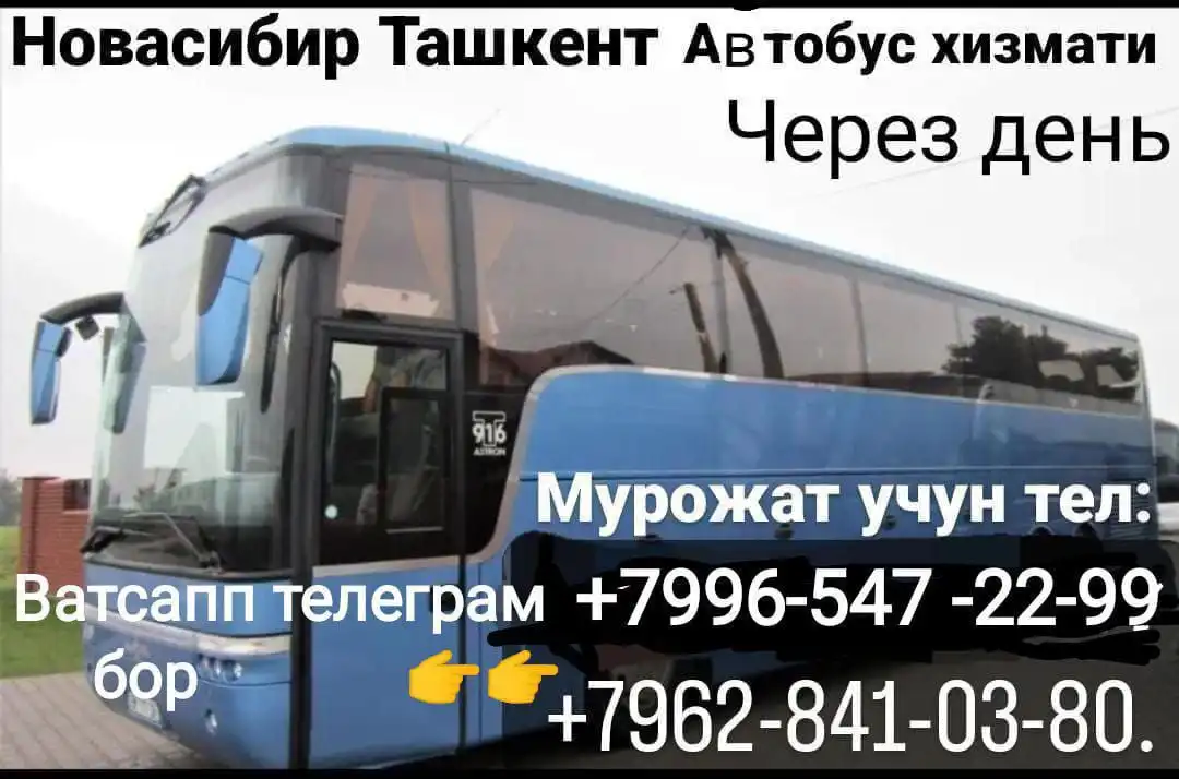Рейслар автобус Новосибирск - Ташкент декабрь