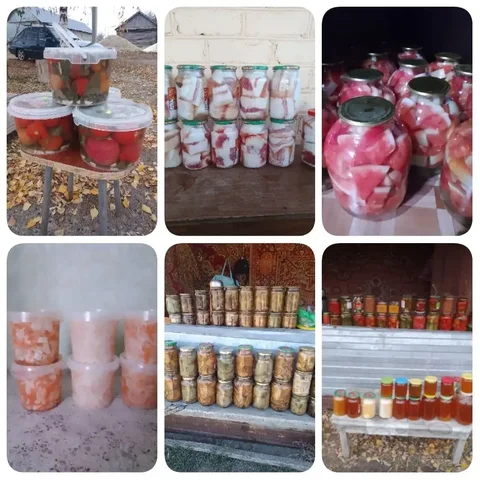Домашние заготовки и консервация - Продукты в Новые Бурасы