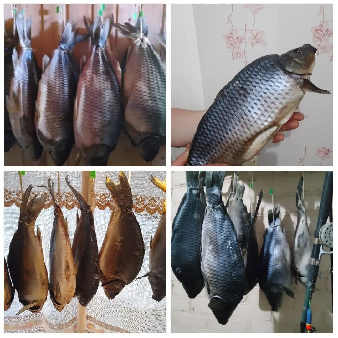 Вяленый малосольный карп - Продукты питания (Барахолка) в Бурасы
