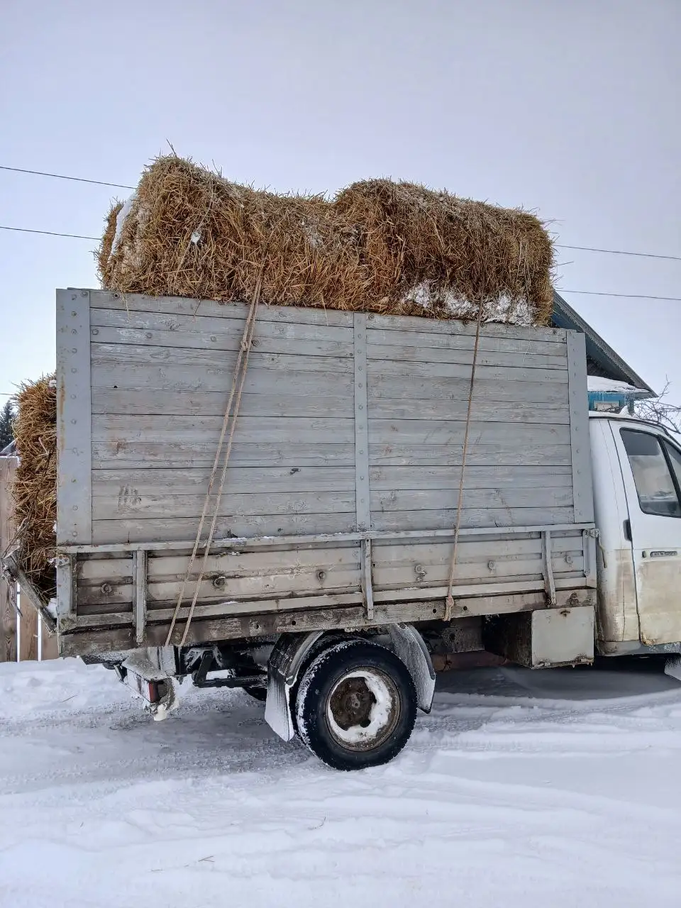 Продажа ячменной и овсяной салома в рулонах - Сельхозпродукция (Барахолка) в Новые Бурасы