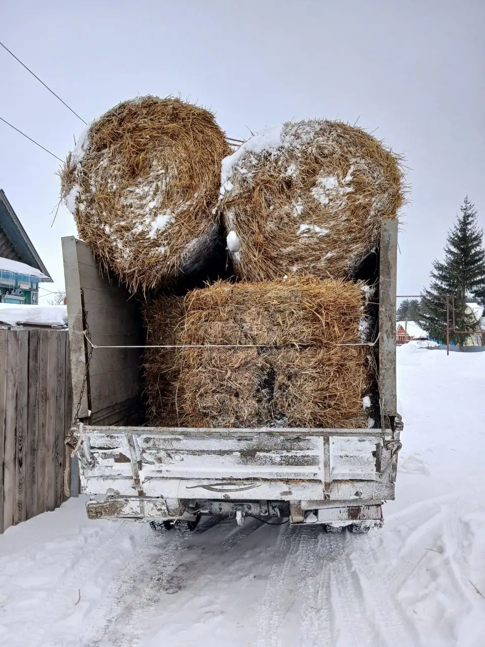 Продажа ячменной и овсяной салома в рулонах - Сельхозпродукция (Барахолка) в Новые Бурасы