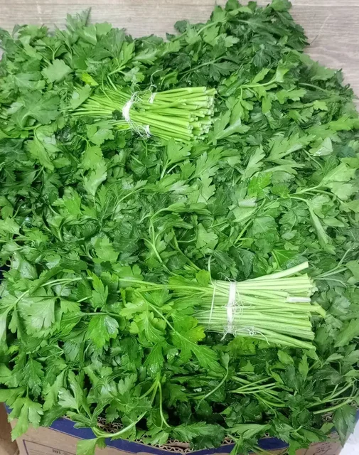 Продажа свежей зелени пучками - Цветы и подарки в Бурасы