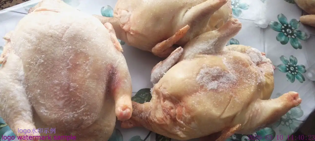 Домашние куры бройлеры свежие - Продукты питания (Барахолка) в Бурасы