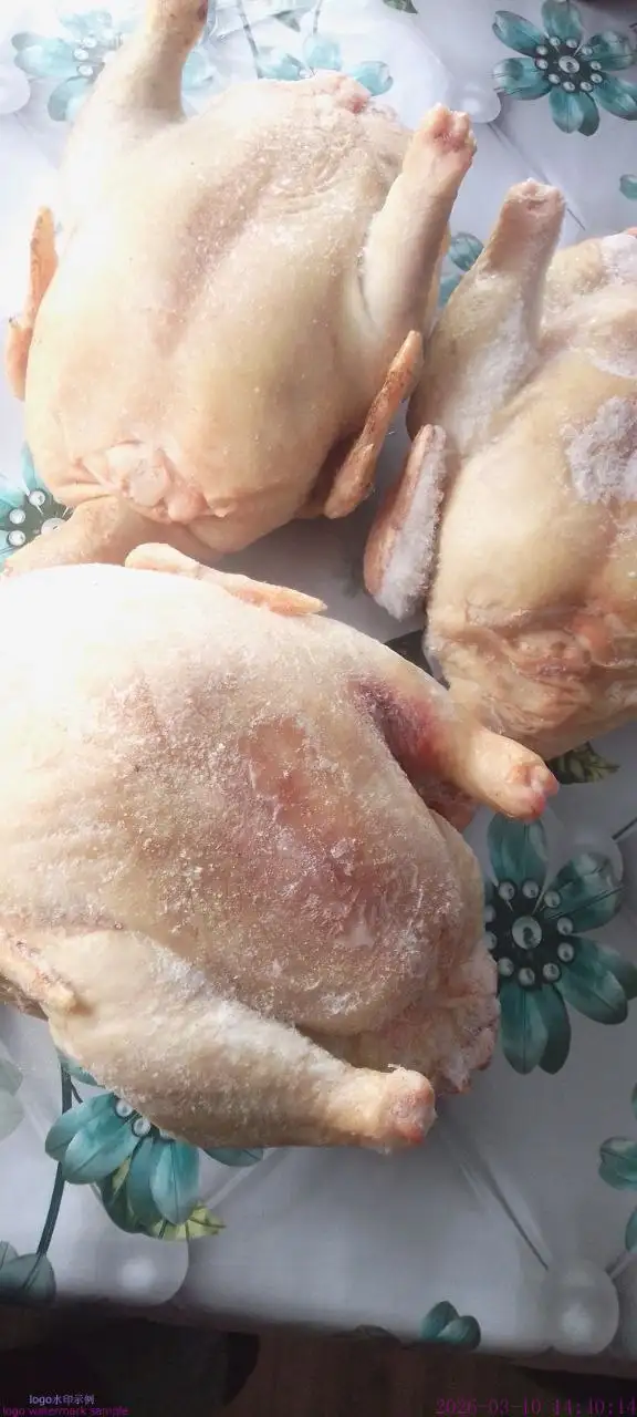 Домашние куры бройлеры свежие - Продукты питания (Барахолка) в Бурасы