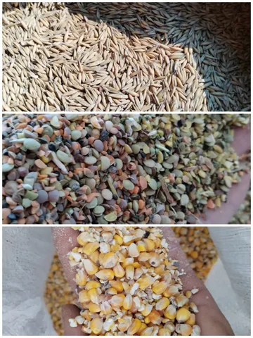 Продажа сельскохозяйственных культур и семян трав - частное объявление в Ивановка