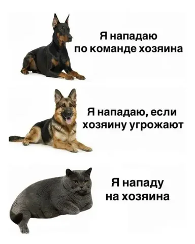 Продажа б/у товаров в Бурасах - частное объявление в Бурасы