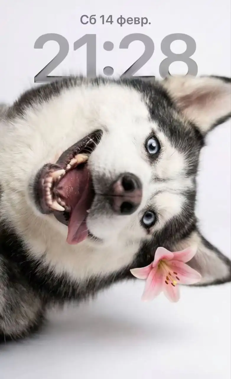 Услуги по обработке контента и нейросетевой генерации - Цифровые услуги (Услуги) в Новые Бурасы