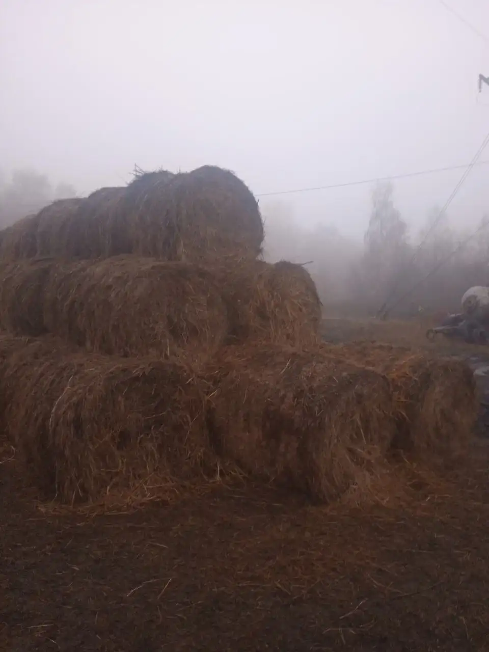 Продажа сена - Барахолка в Новые Бурасы