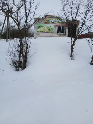 Продам - Дрова в Новые Бурасы