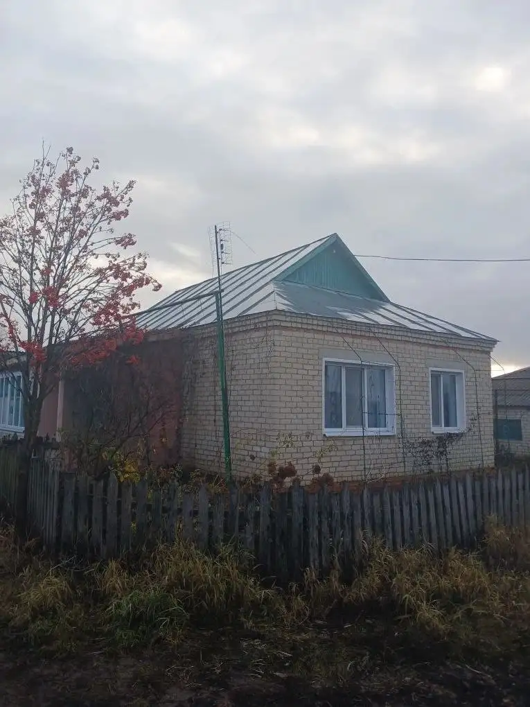 Продам дом с участком 7 соток в р.п. Новые Бурасы - Дома (Недвижимость) в Новые Бурасы