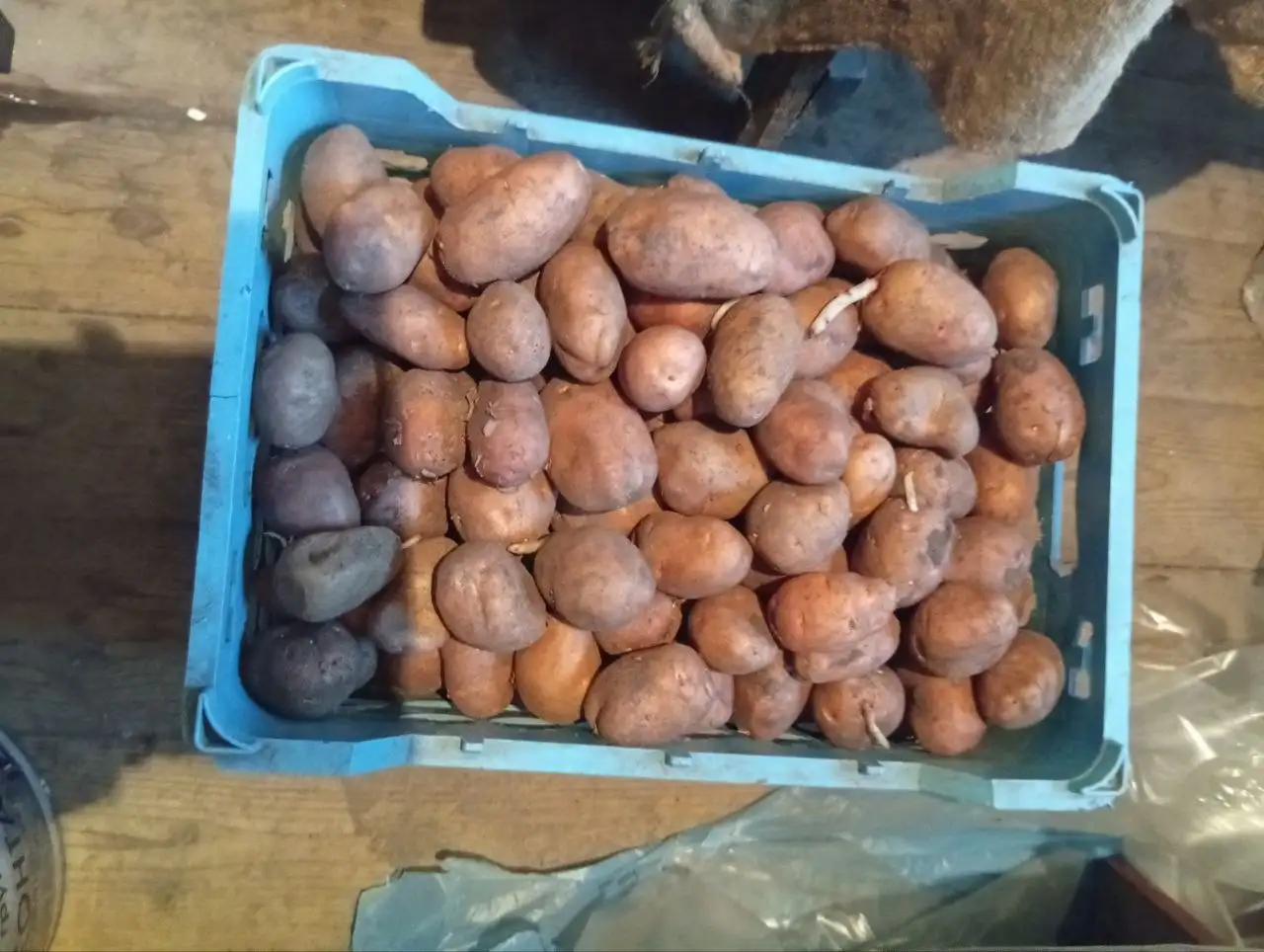 Продажа семенной картошки - Продукты питания (Барахолка) в Новые Бурасы