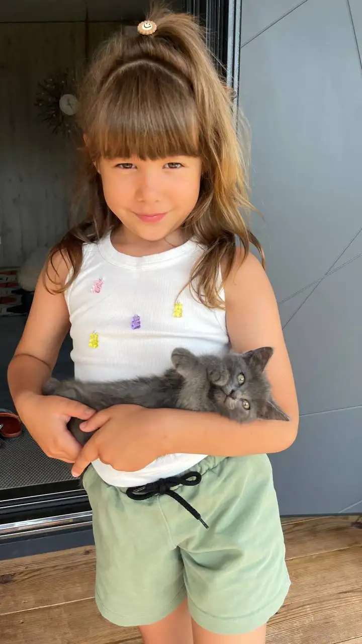 Котята в добрые руки - Кошки (Животные) в Неизвестно