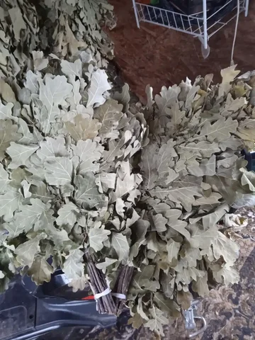 Продам веник дубовый - Для дома и дачи в Новые Бурасы