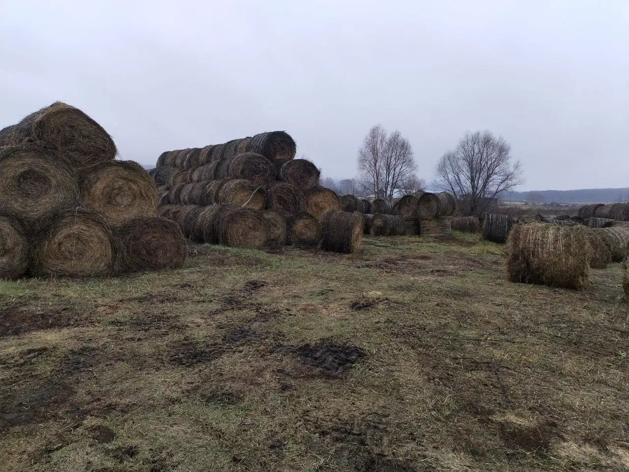 Продажа рулонов сена и соломы