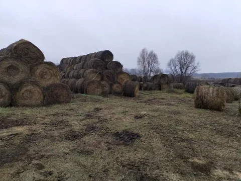 Продажа рулонов сена и соломы - Товары для дома и дачи в Ивановка