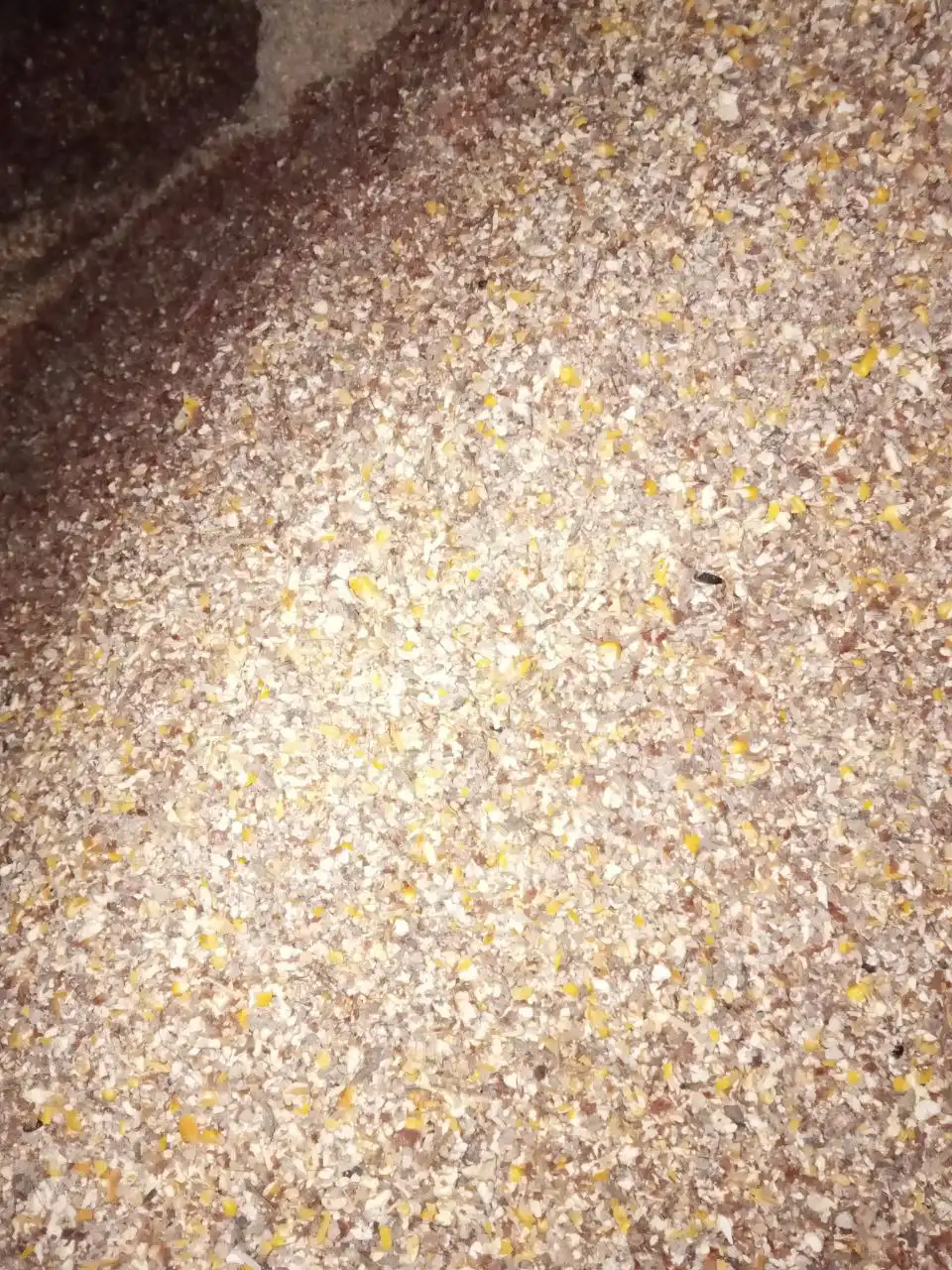 Продажа отходов колотой кукурузы