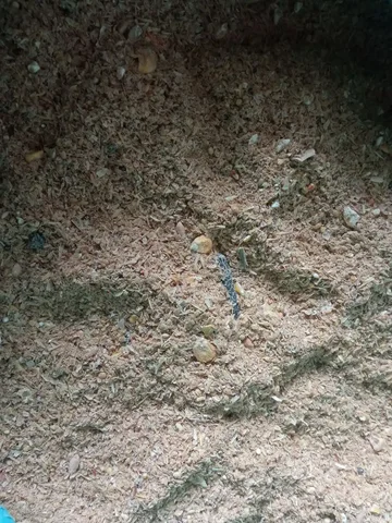 Продам кормосмесь 25кг - Барахолка в Новые Бурасы