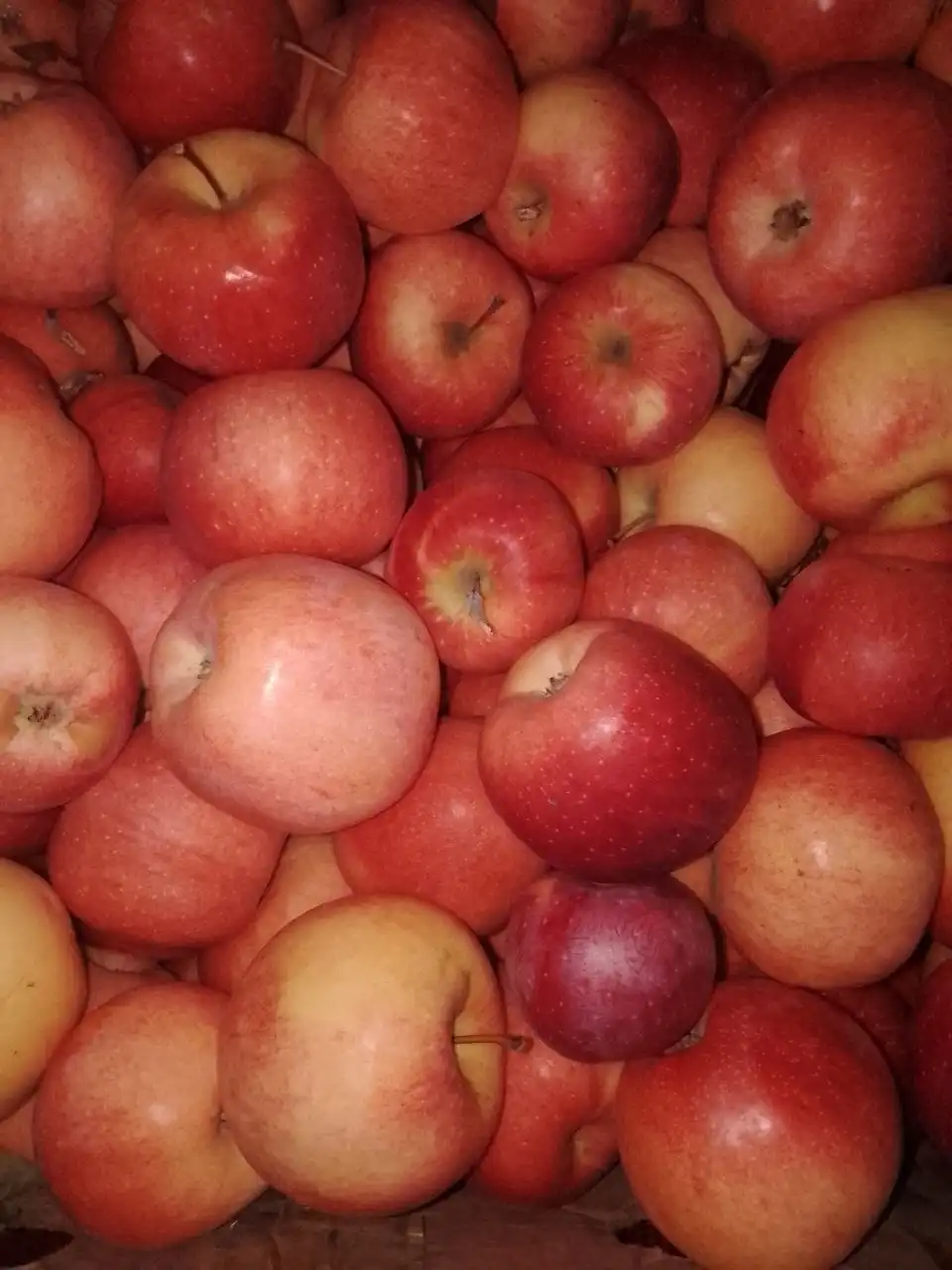 Продажа яблок