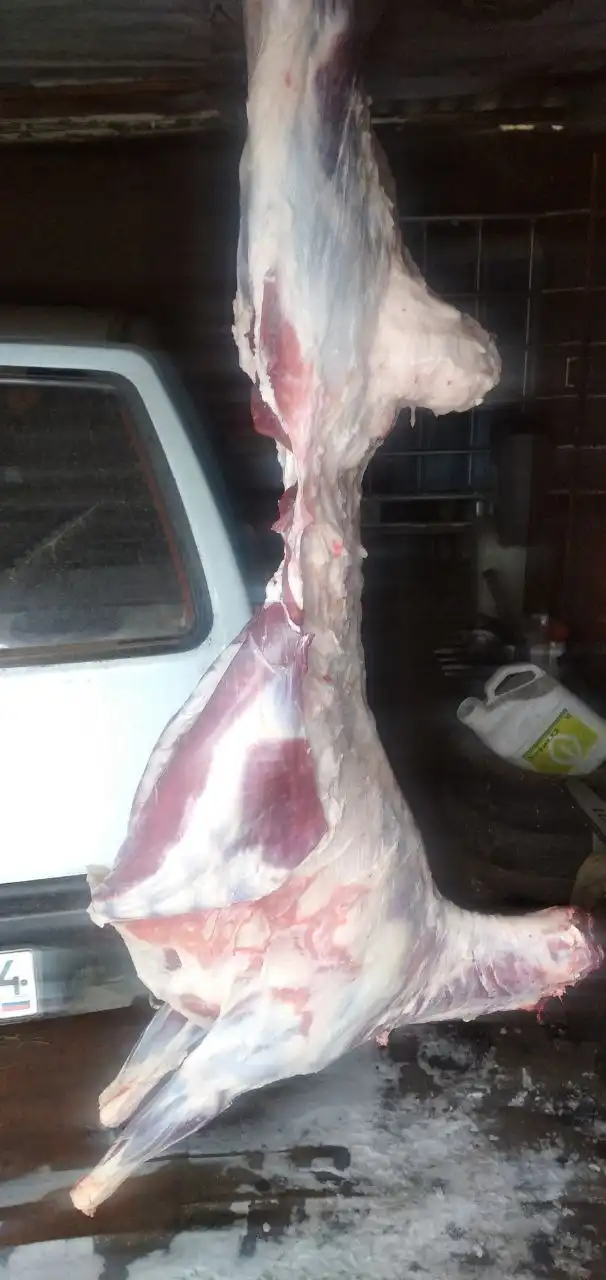 Продажа свежей молодой баранины