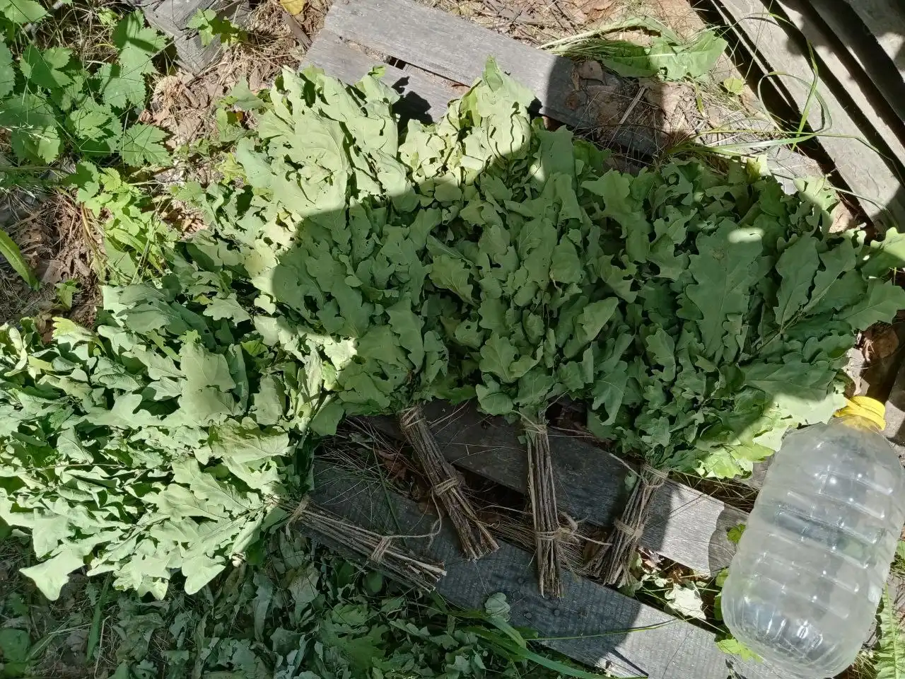 Веники в Нижнем Новгороде