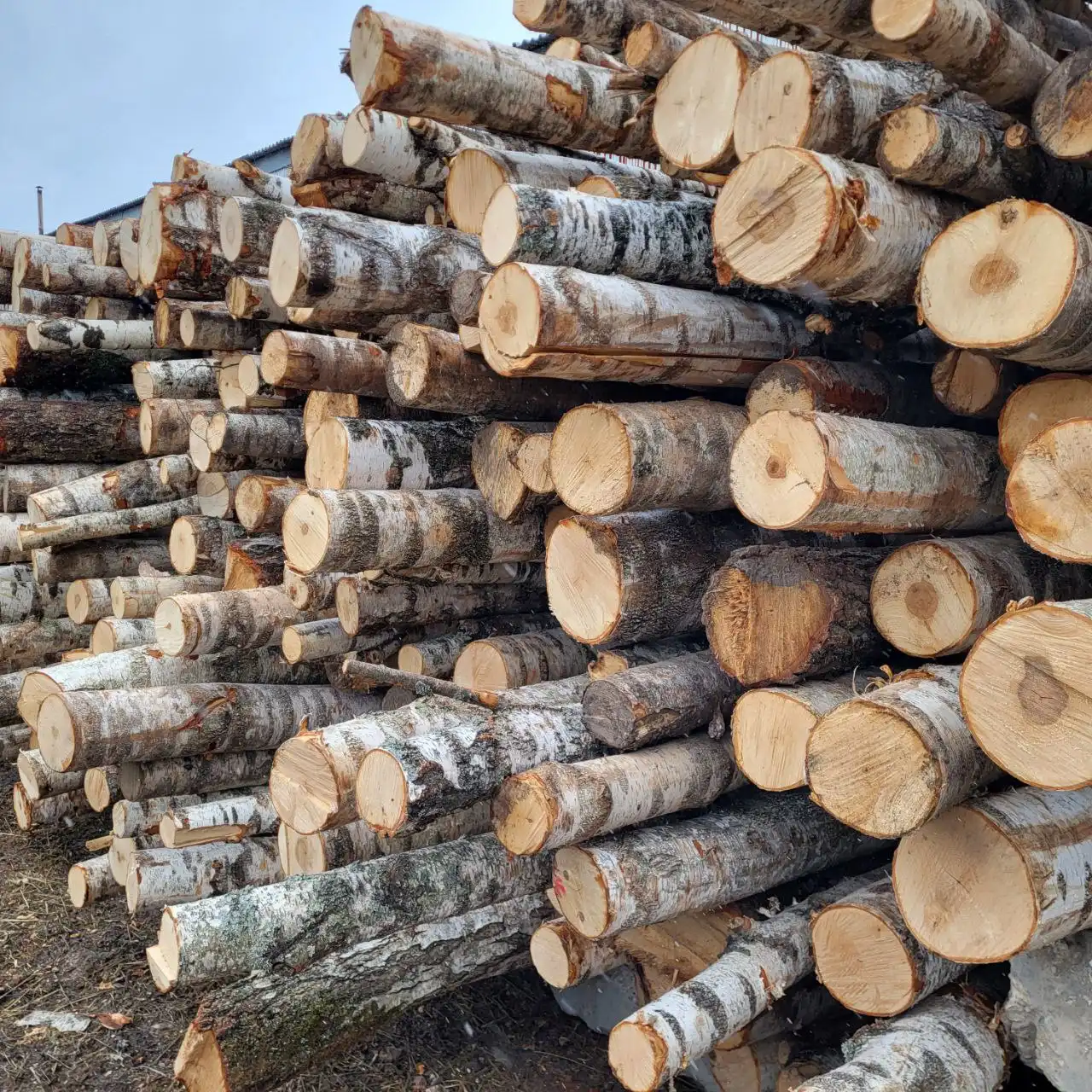 Колотые берёзовые дрова с доставкой