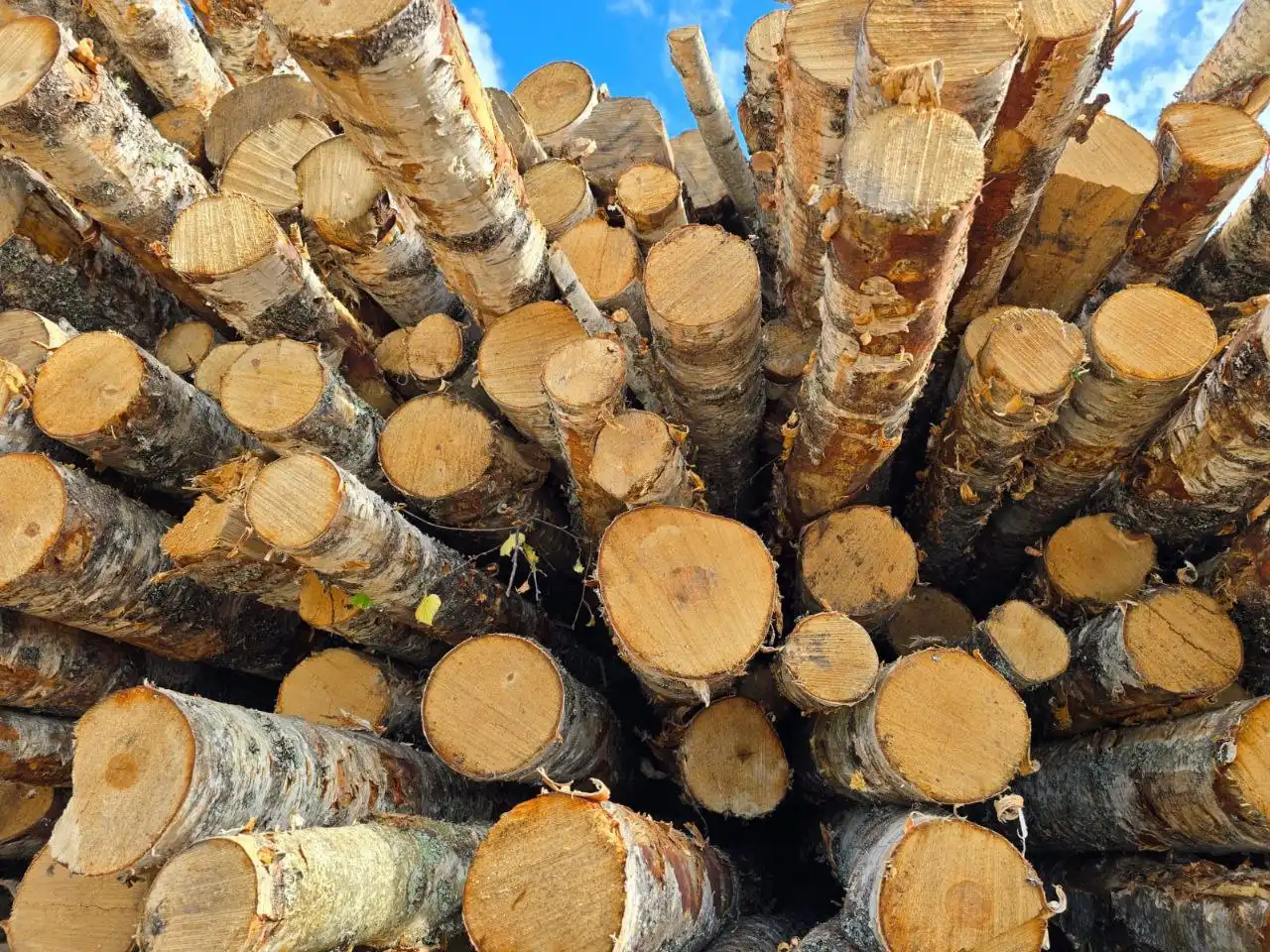 Колотые берёзовые дрова с доставкой