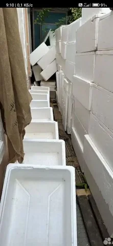 Термобоксы с крышками - частное объявление в Нижний Новгород