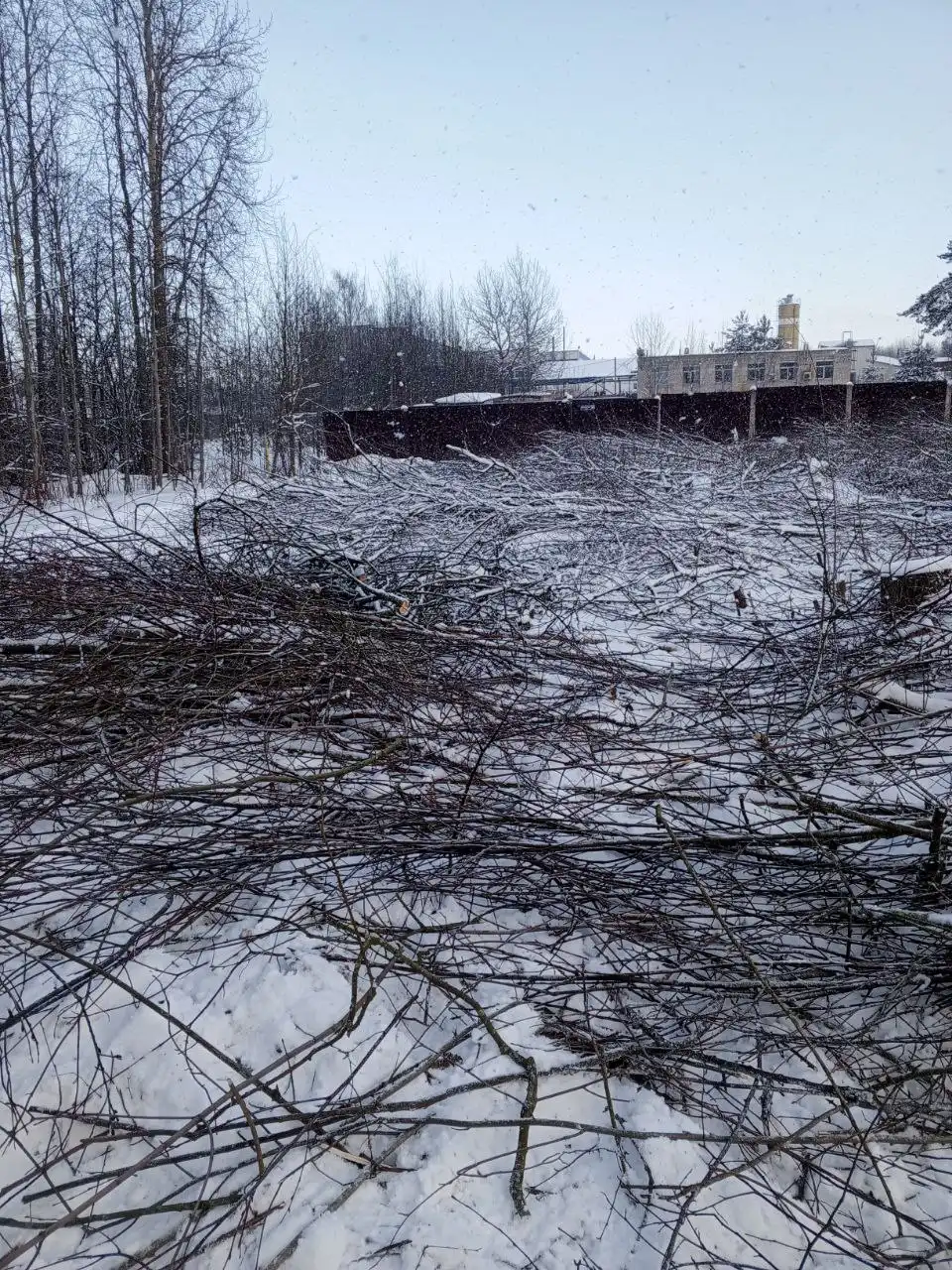 Расчистка участков под строительство под ключ - Строительные услуги (Услуги) в Санкт-Петербург