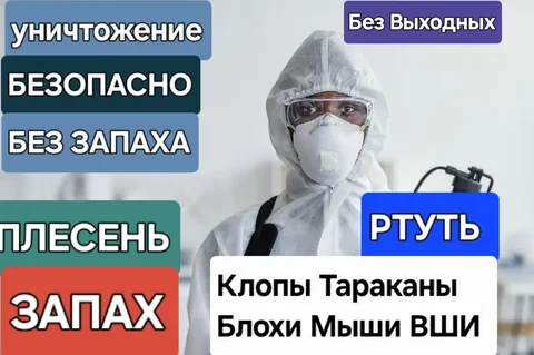 Профессиональная дезинфекция и дезинсекция - Электромонтаж в Нижний Новгород