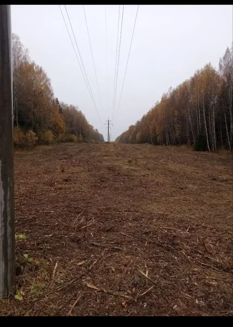 Расчистка участков под строительство под ключ - Услуги в Санкт-Петербург