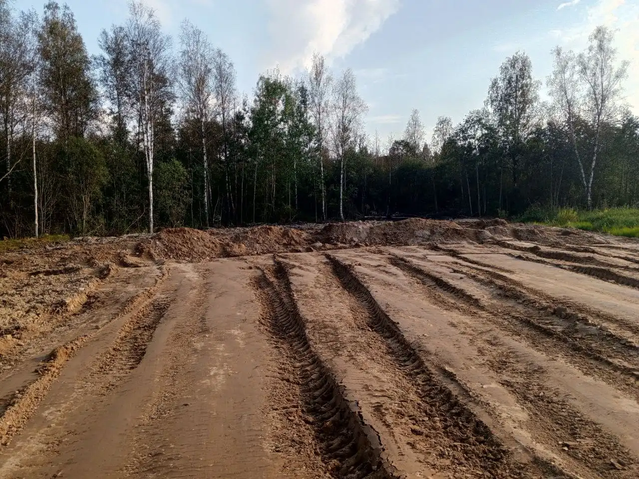 Расчистка участков под строительство под ключ - Строительные и ремонтные работы (Услуги) в Санкт-Петербург