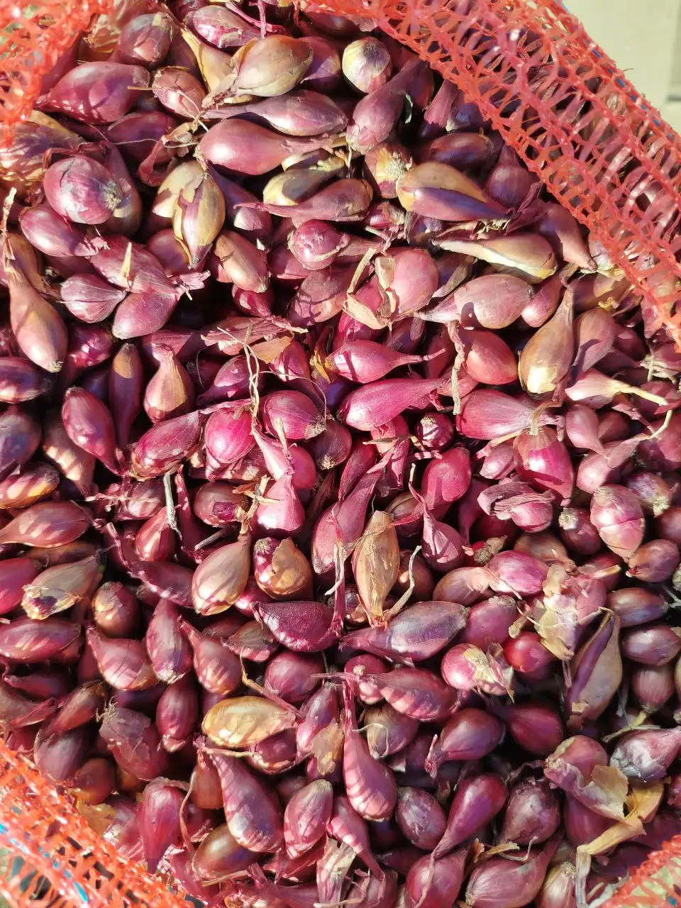 Продажа товара в Нижнем Новгороде - Барахолка в Нижний Новгород