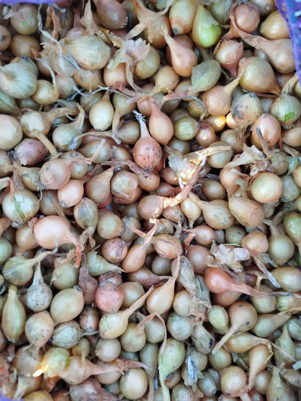 Продажа товара в Нижнем Новгороде - Барахолка в Нижний Новгород