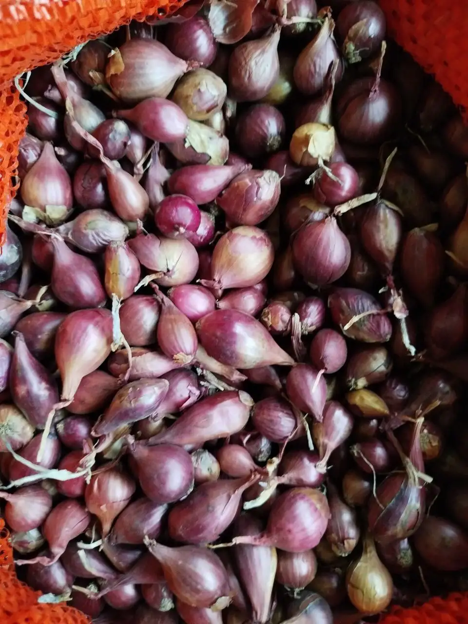 Продажа товара в Нижнем Новгороде - Барахолка в Нижний Новгород