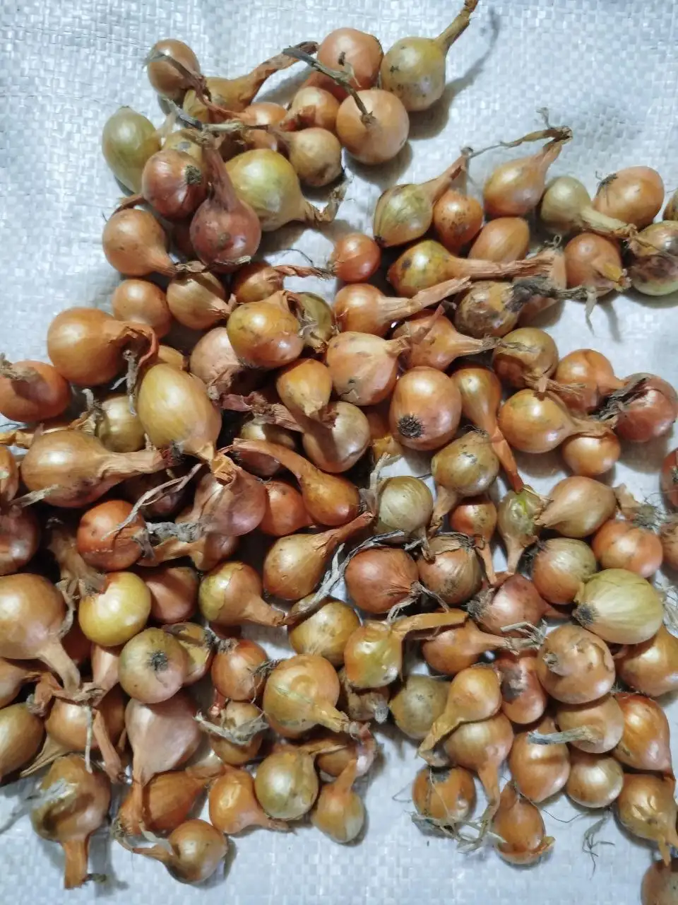 Продажа товара в Нижнем Новгороде - Барахолка в Нижний Новгород