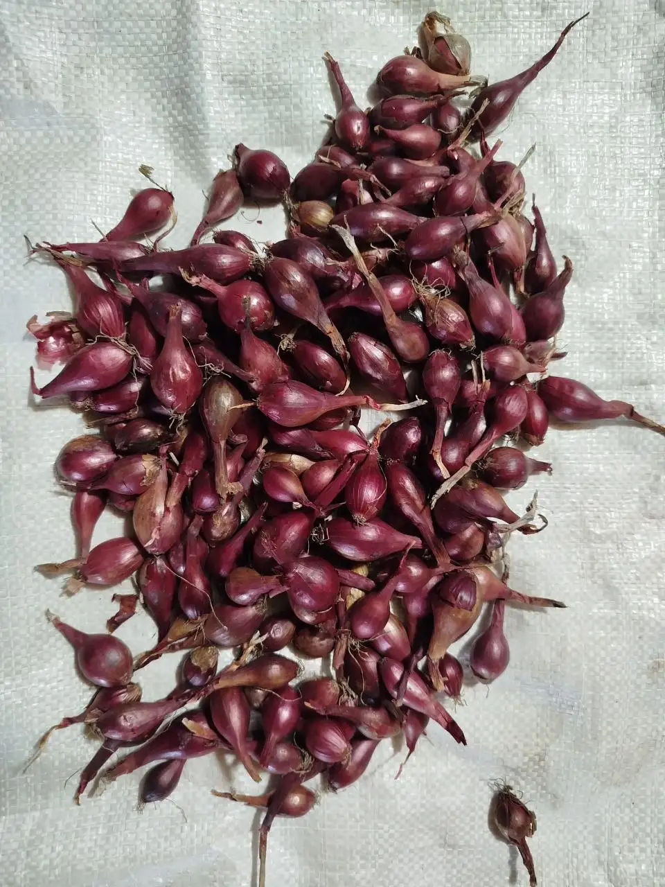 Продажа товара в Нижнем Новгороде - Барахолка в Нижний Новгород