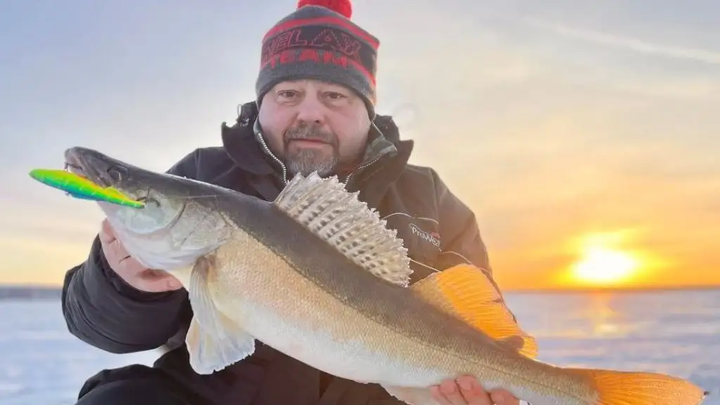 Праздничный заезд на базе отдыха «Щукино» с 7 по 9 марта - Туризм и отдых (Хобби и отдых) в Нижний Новгород