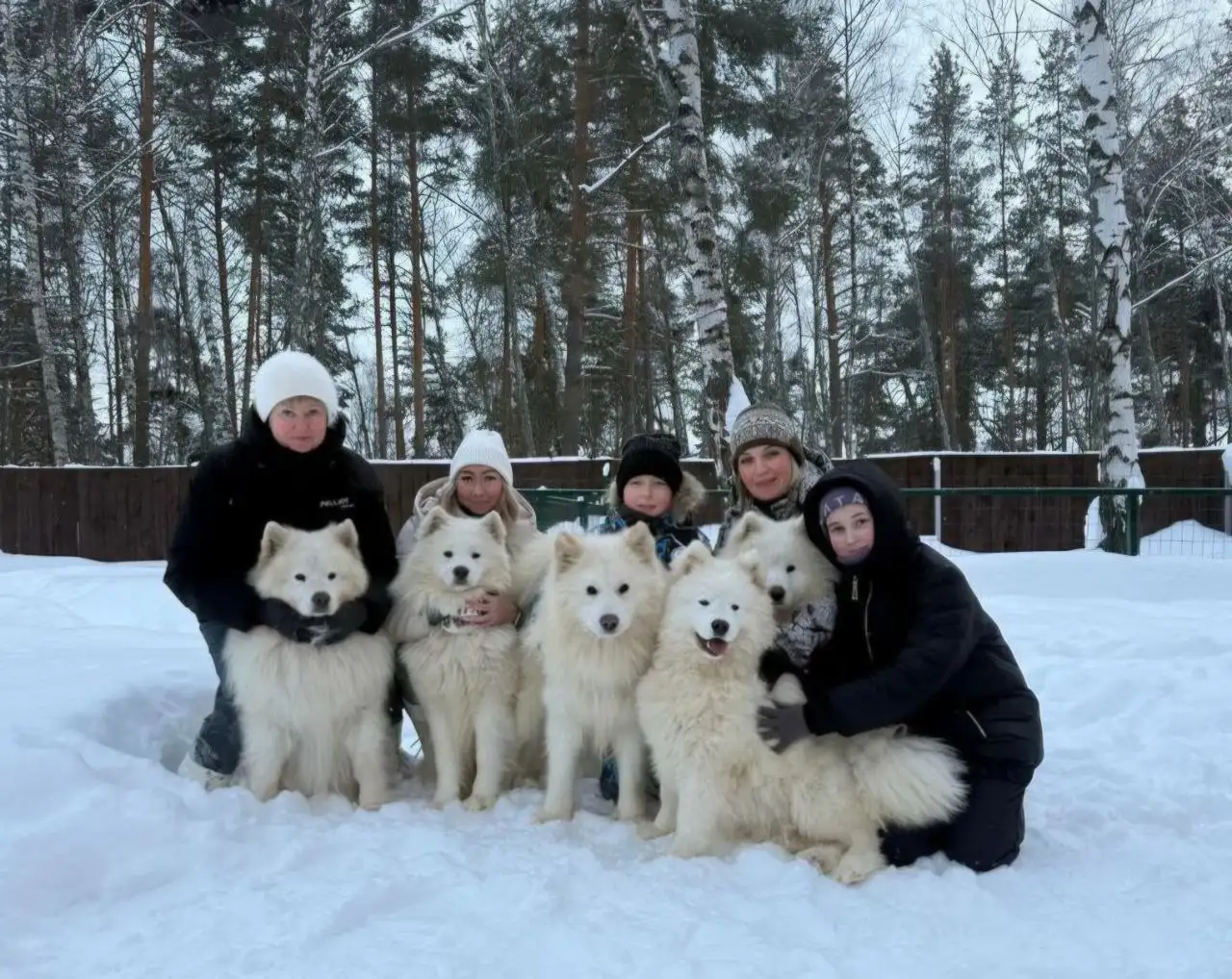 Девичник загородом на 8 марта с банным комплексом, собаками и активностями - Активный отдых (Услуги) в Нижний Новгород