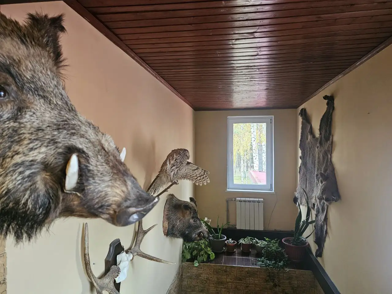 База отдыха «Щукино» в Нижегородской области - Базы отдыха (Хобби и отдых) в Нижний Новгород