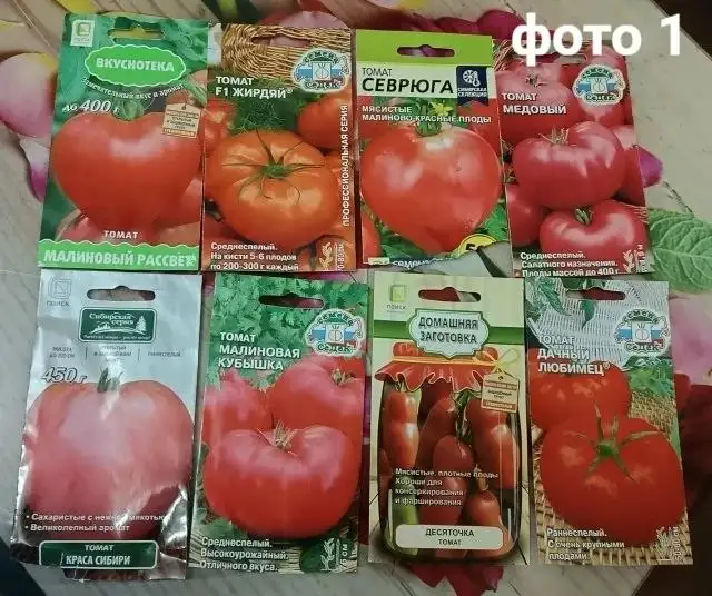 Рассада томатов и перцев в стаканчиках - Рассада (Для дома и дачи) в Нижний Новгород