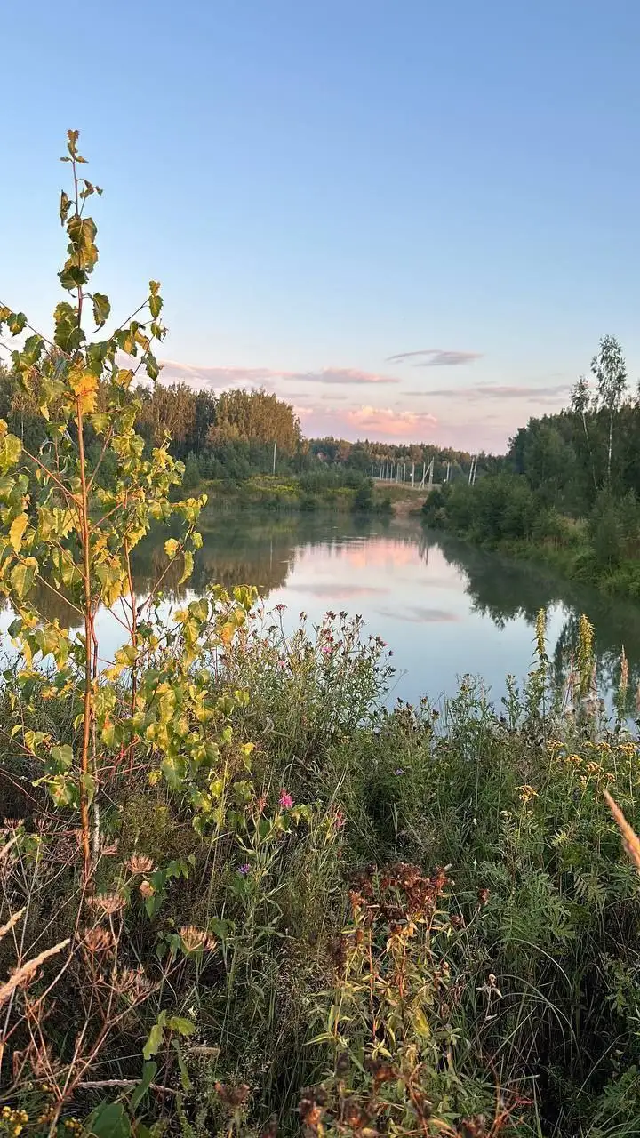 Земельные участки под коттеджный посёлок в часе от Москвы - Земельные участки (Недвижимость) в Михейцево
