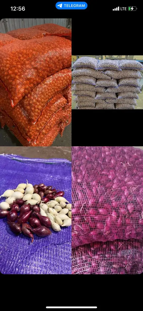 Продажа лука-севка от производителя - Растения (Для дома и дачи) в Нижний Новгород