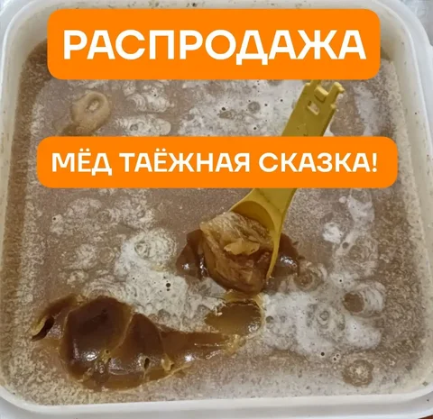 Распродажа таёжного мёда - частное объявление в Неизвестно