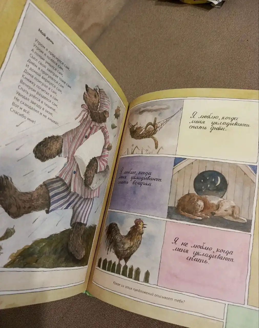 Книга 'Я сам' Романа Сефа