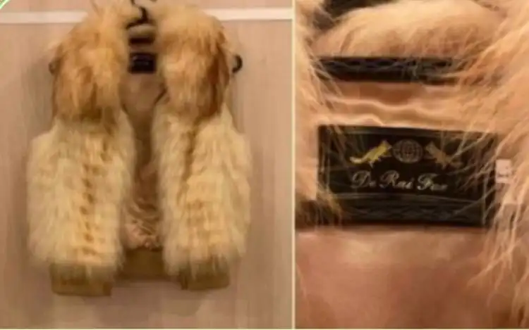 Шуба натуральный мех размер 44-46 - Шубы и меховые изделия (Одежда) в Химки